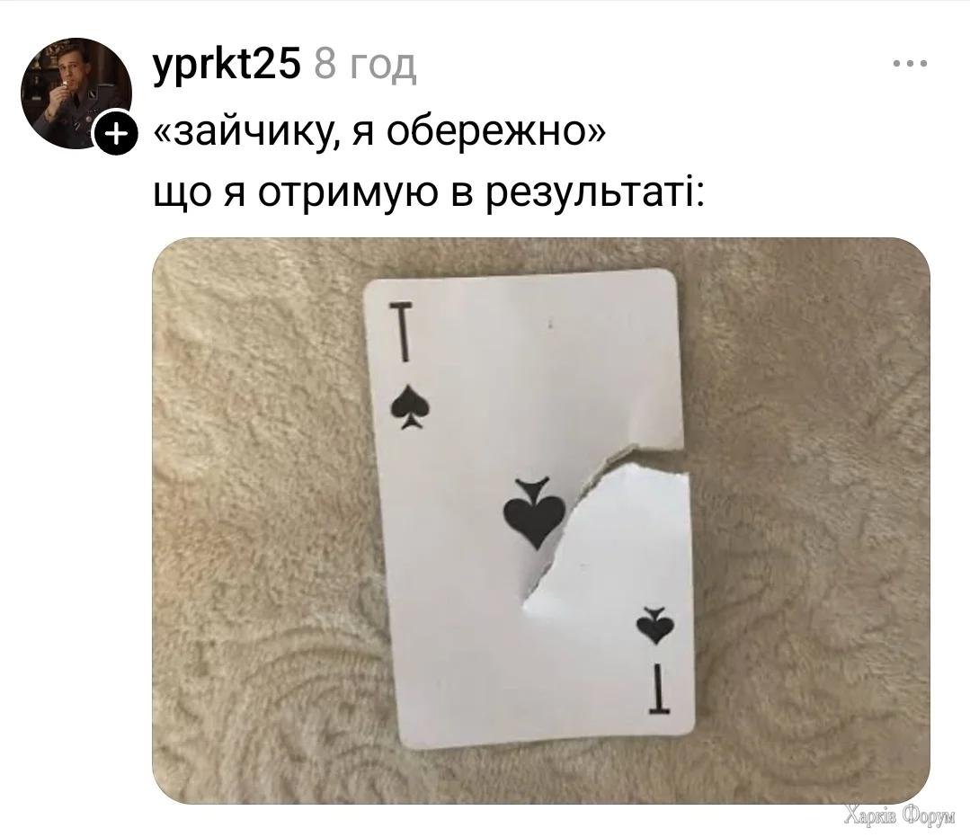 1000070164.webp