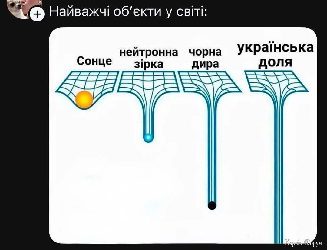 1000070907.webp