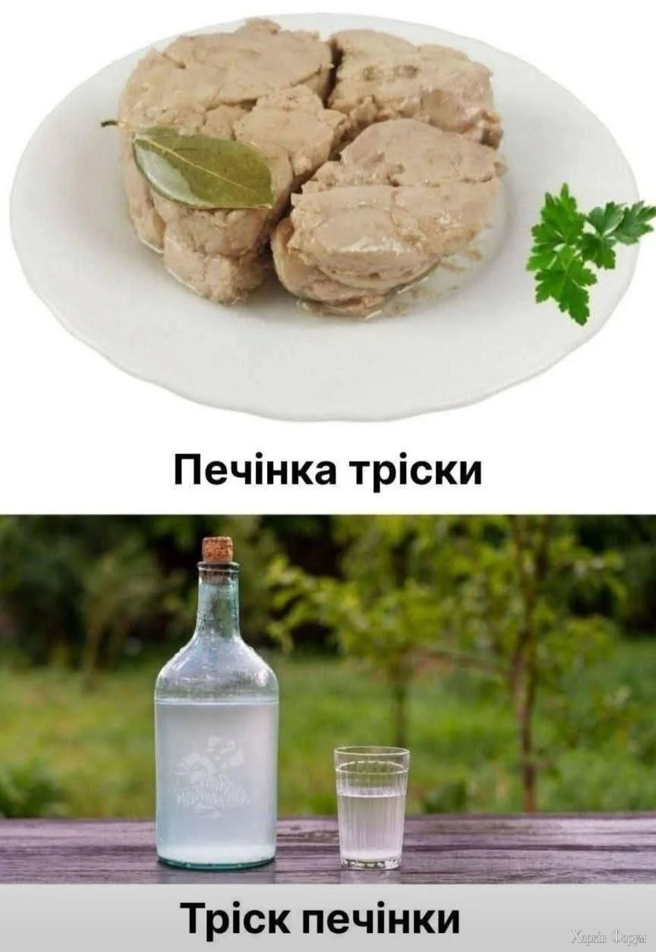 1000070909.webp