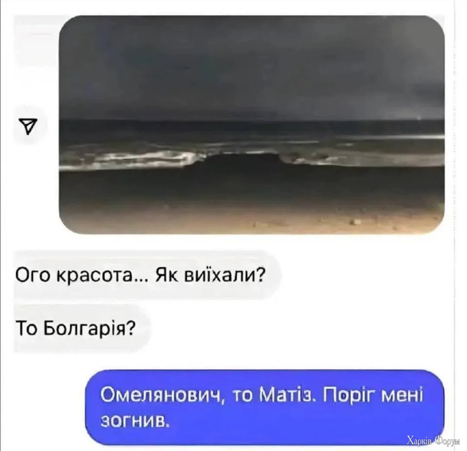1000071321.webp