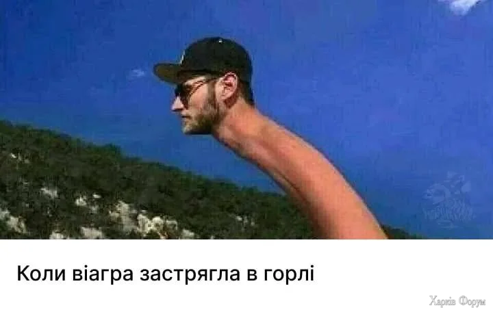 1000071322.webp