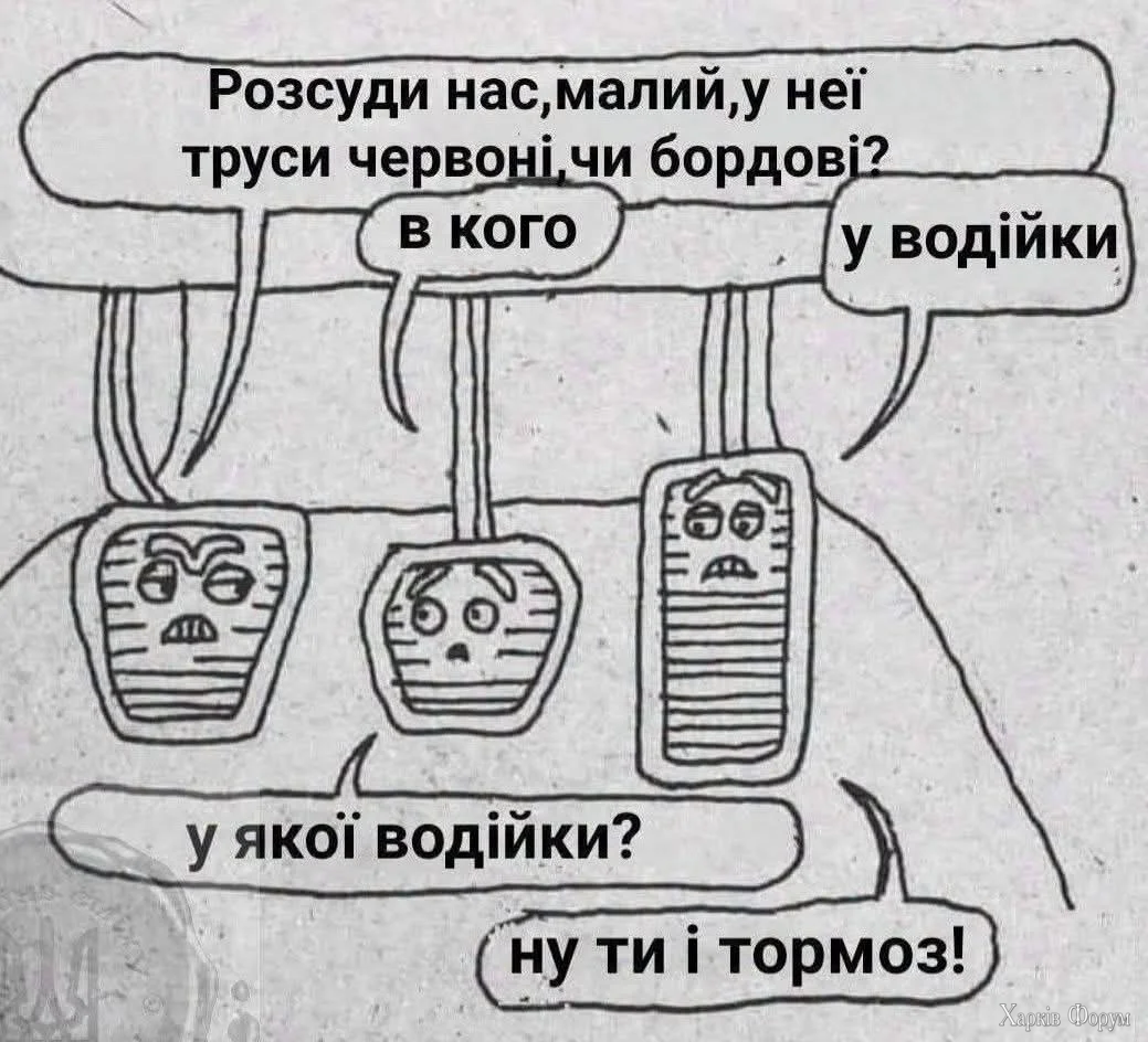 1000071582.webp