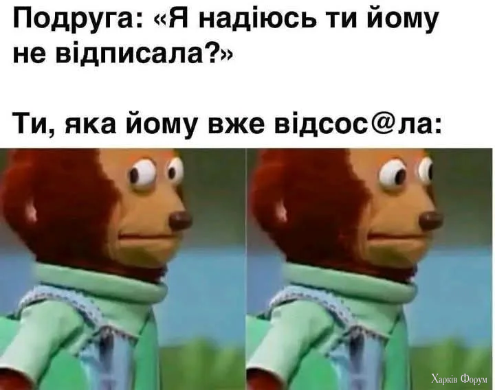 1000071738.webp