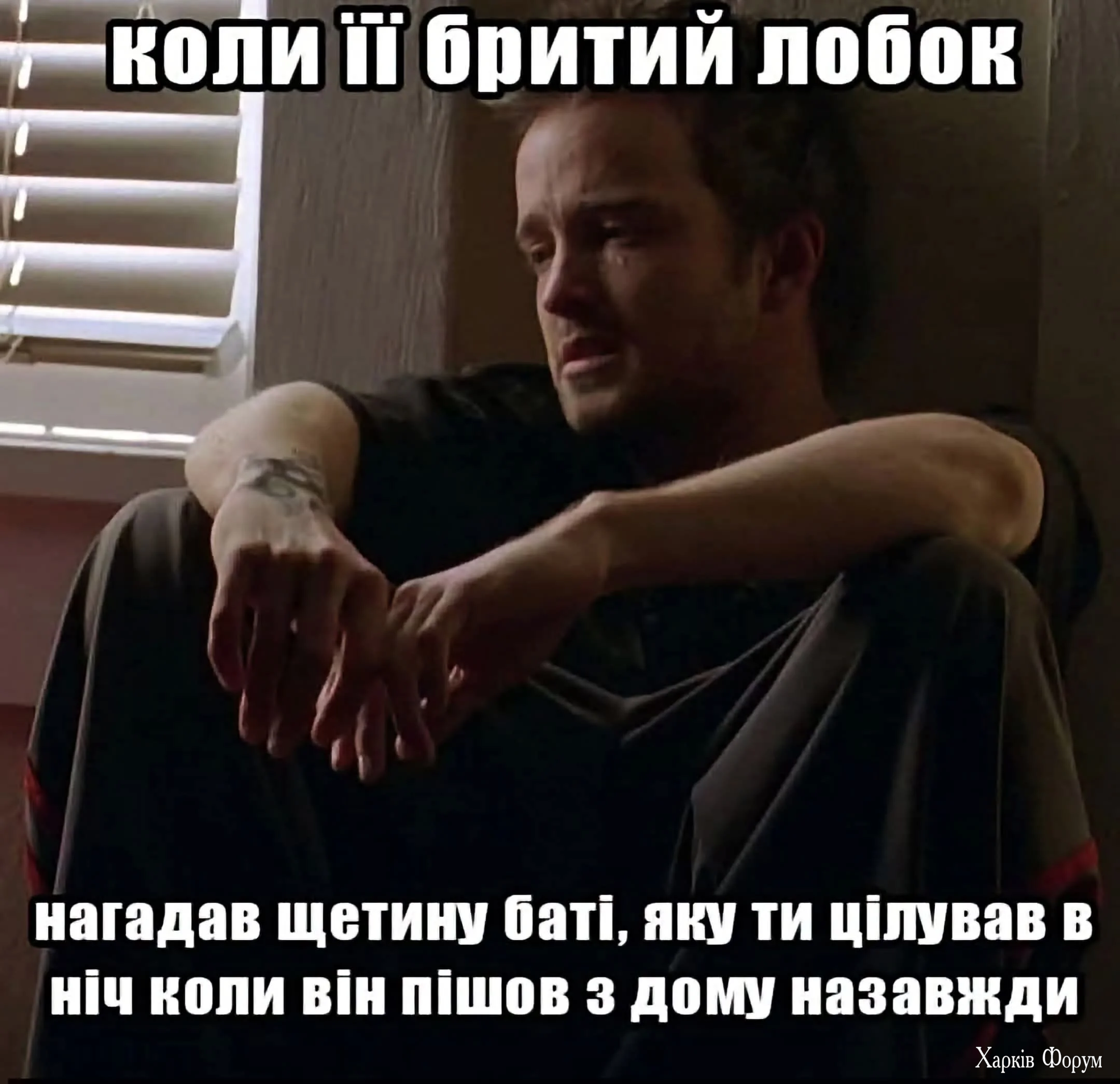 1000071947.webp