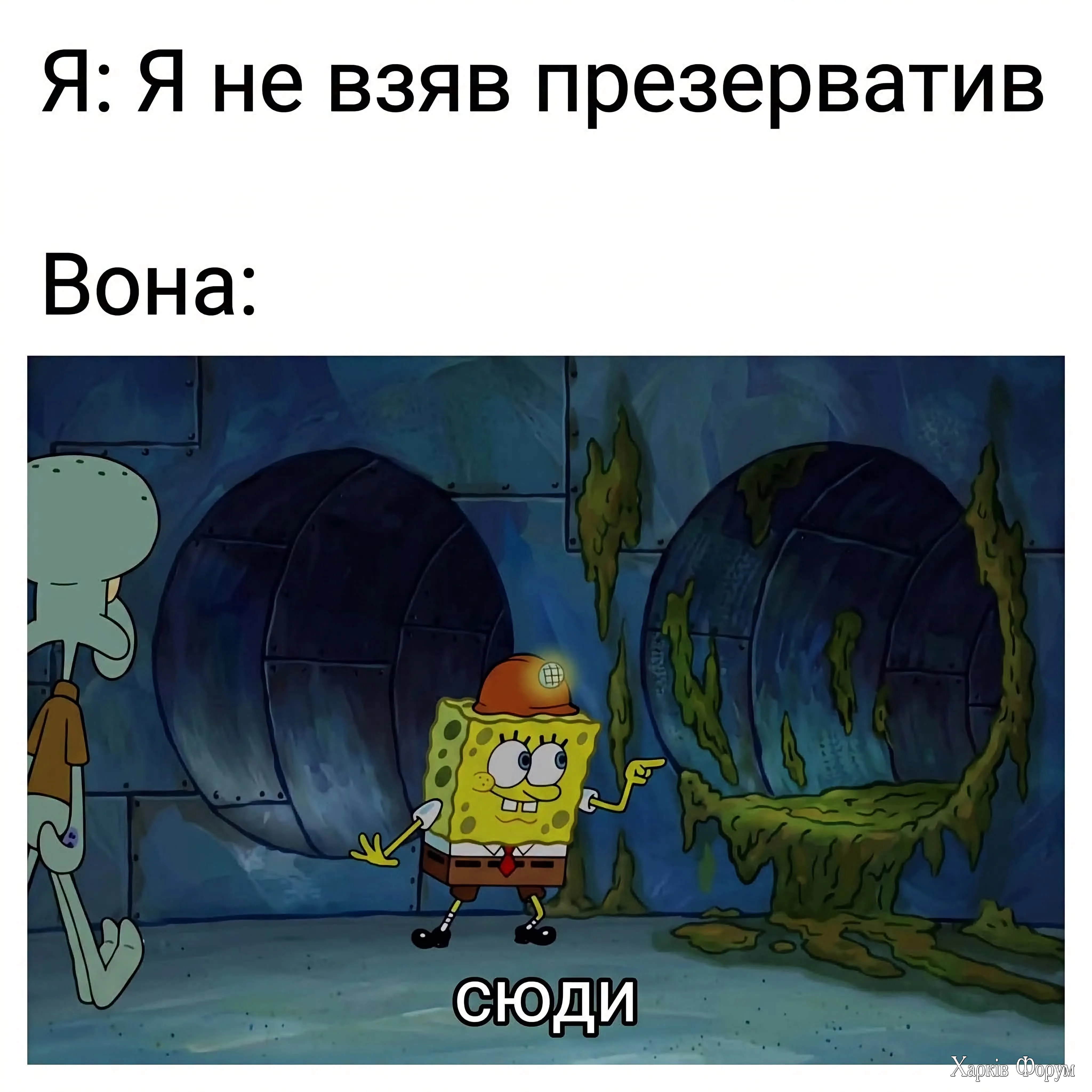 1000072262.webp