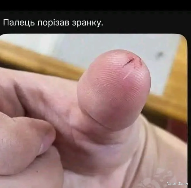 1000072362.webp