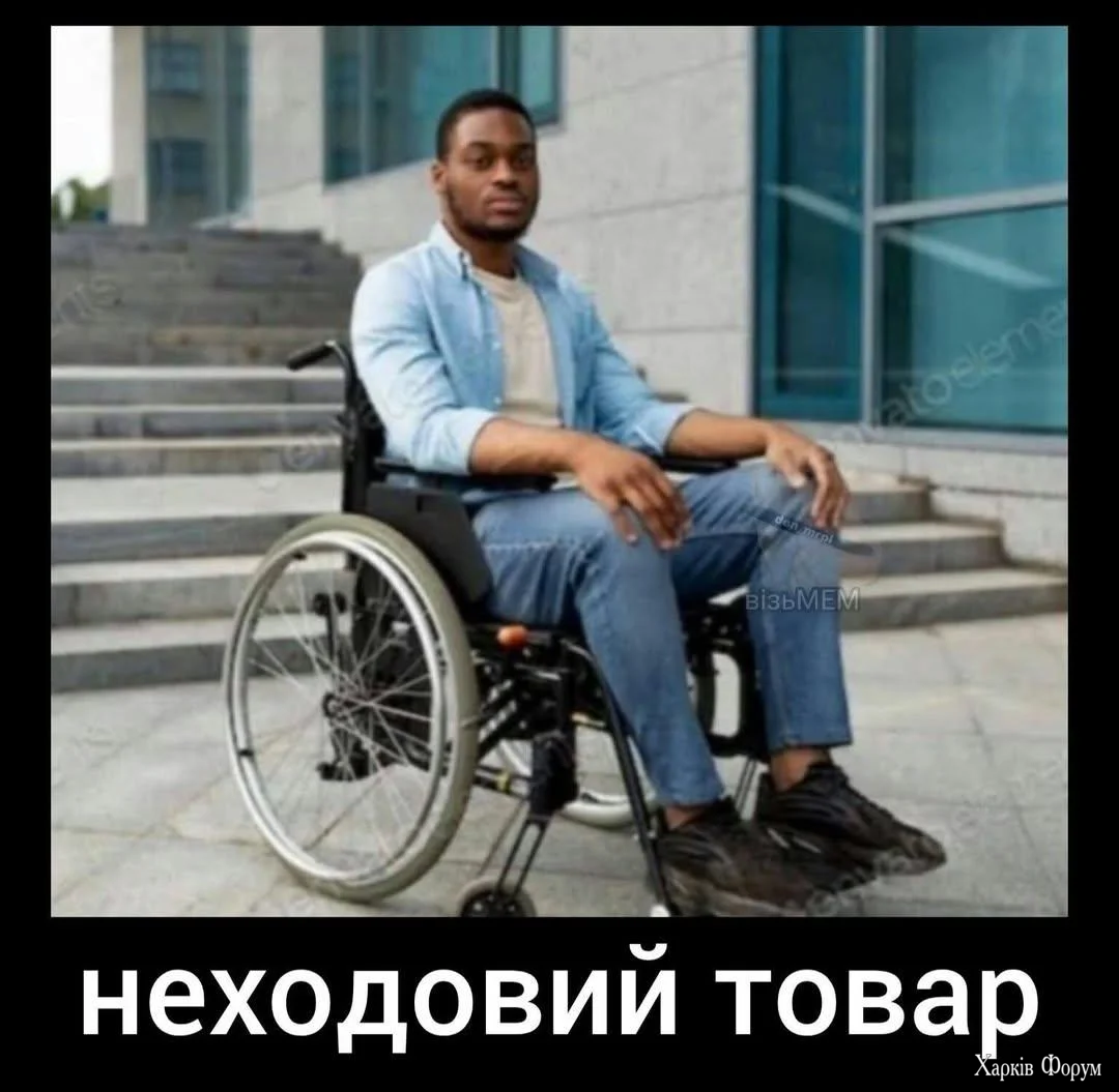 1000072998.webp