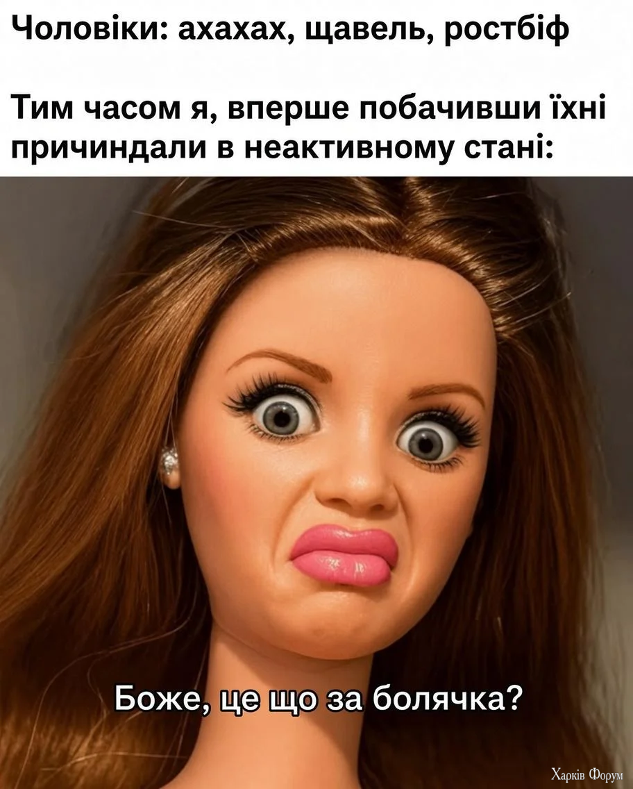 1000073176.webp