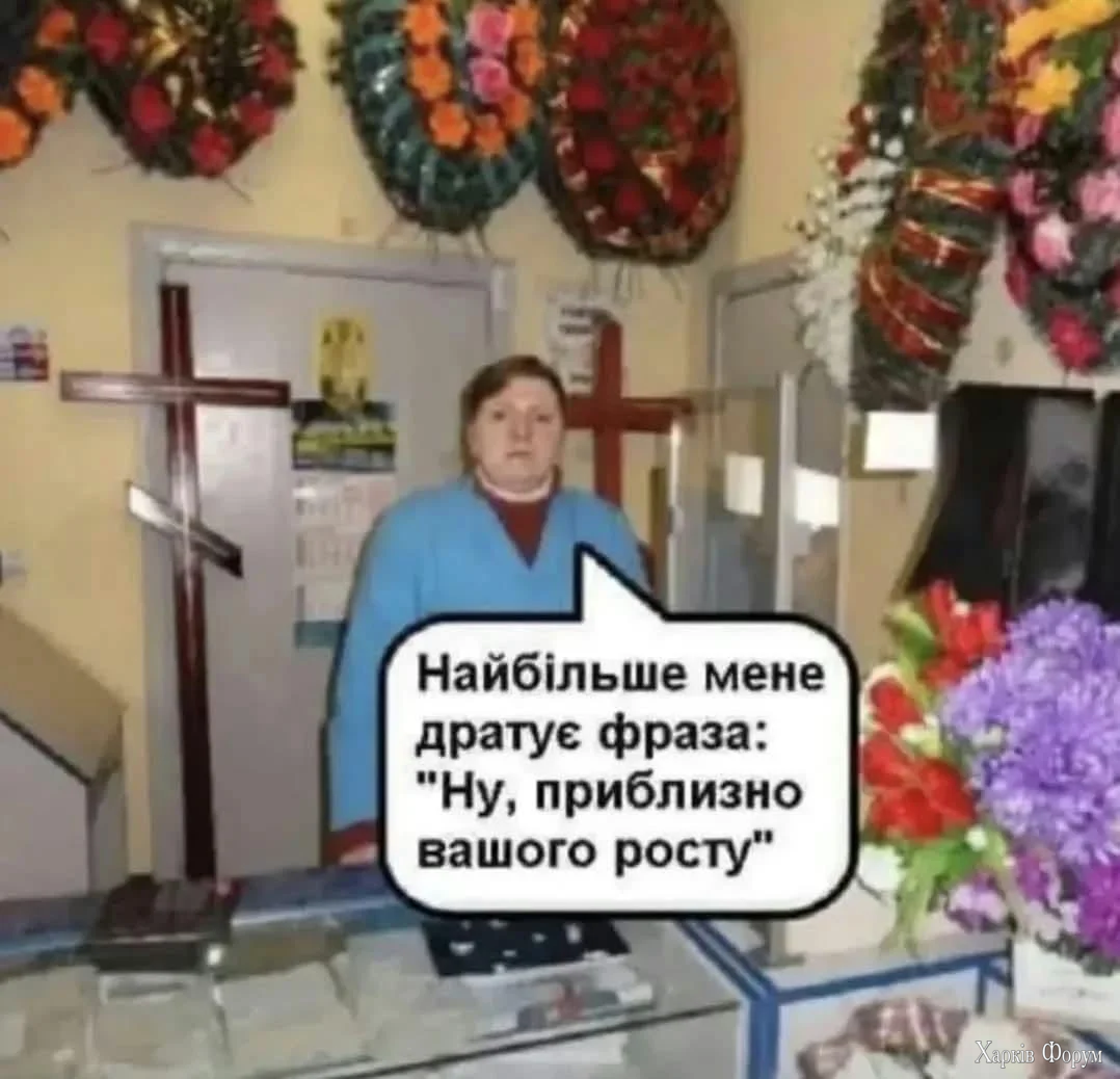 1000073329.webp