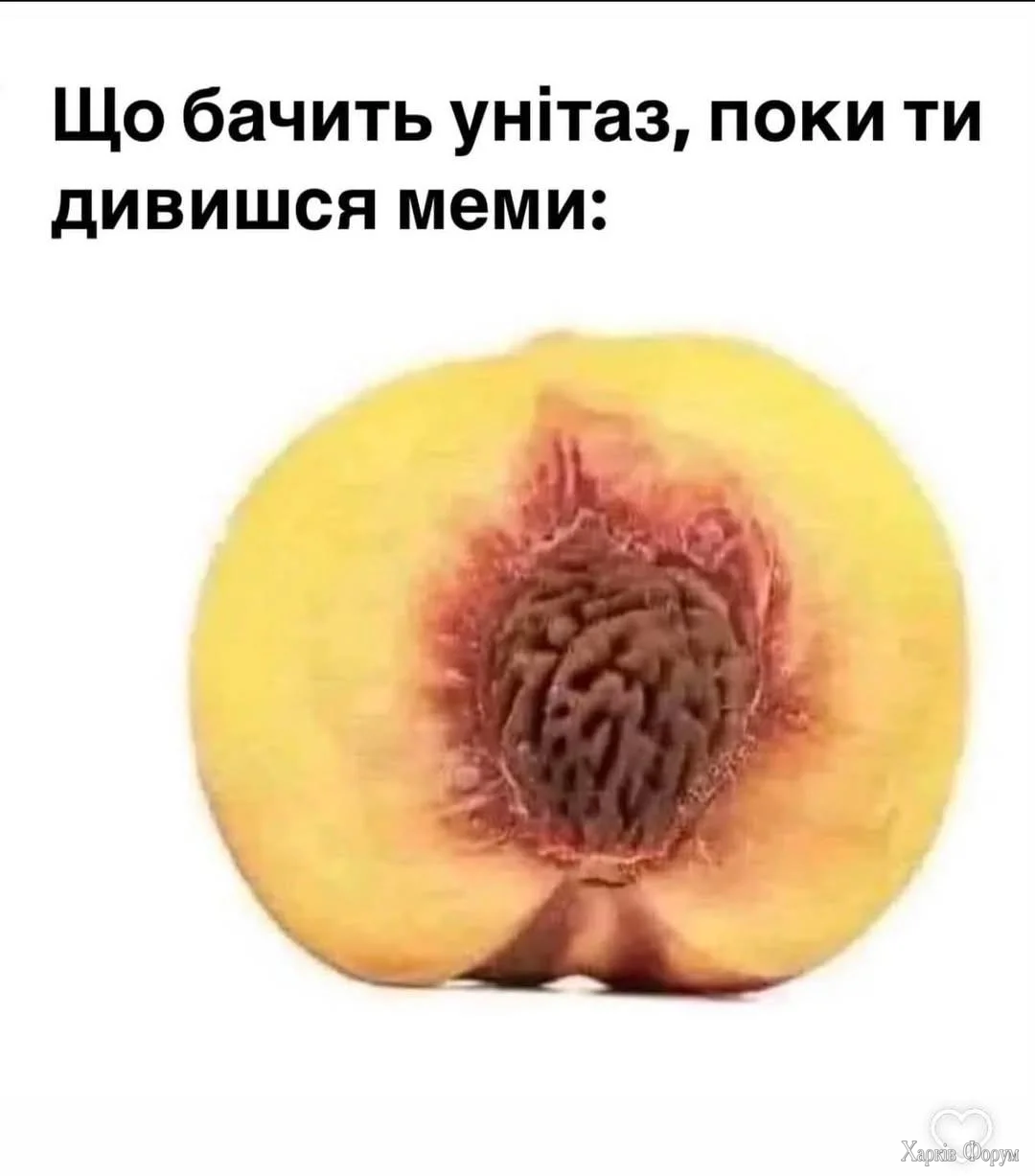 1000073330.webp