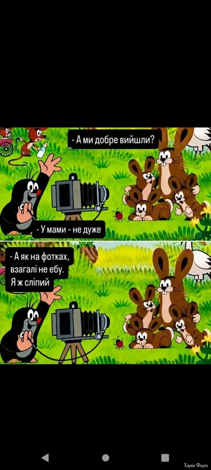 1000073333.webp