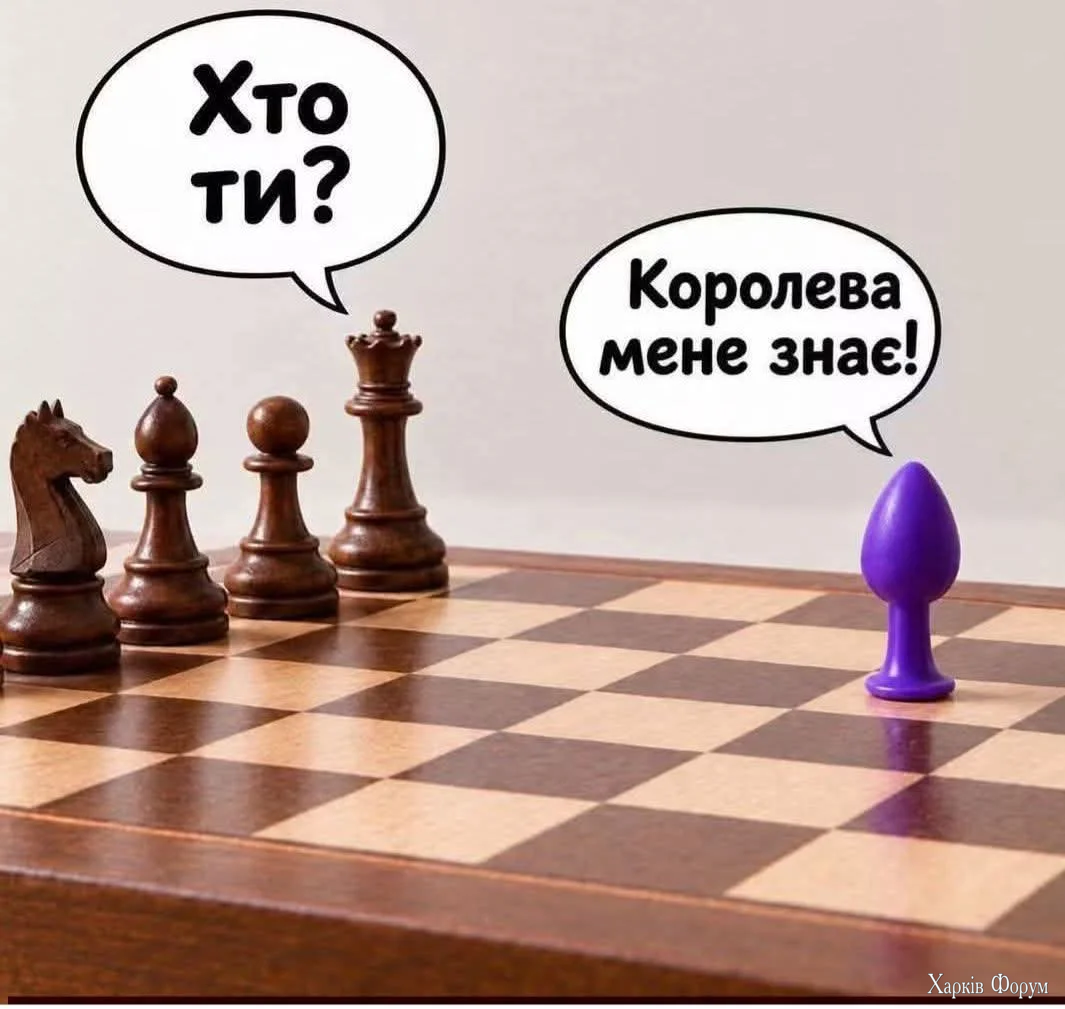 1000073440.webp