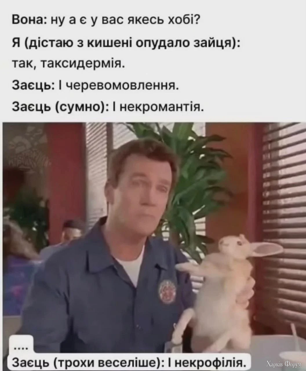 1000073568.webp