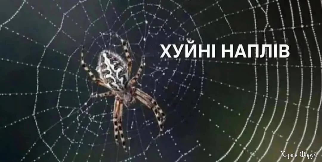 1000074066.webp