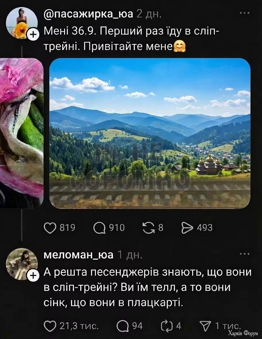 1000074071.webp