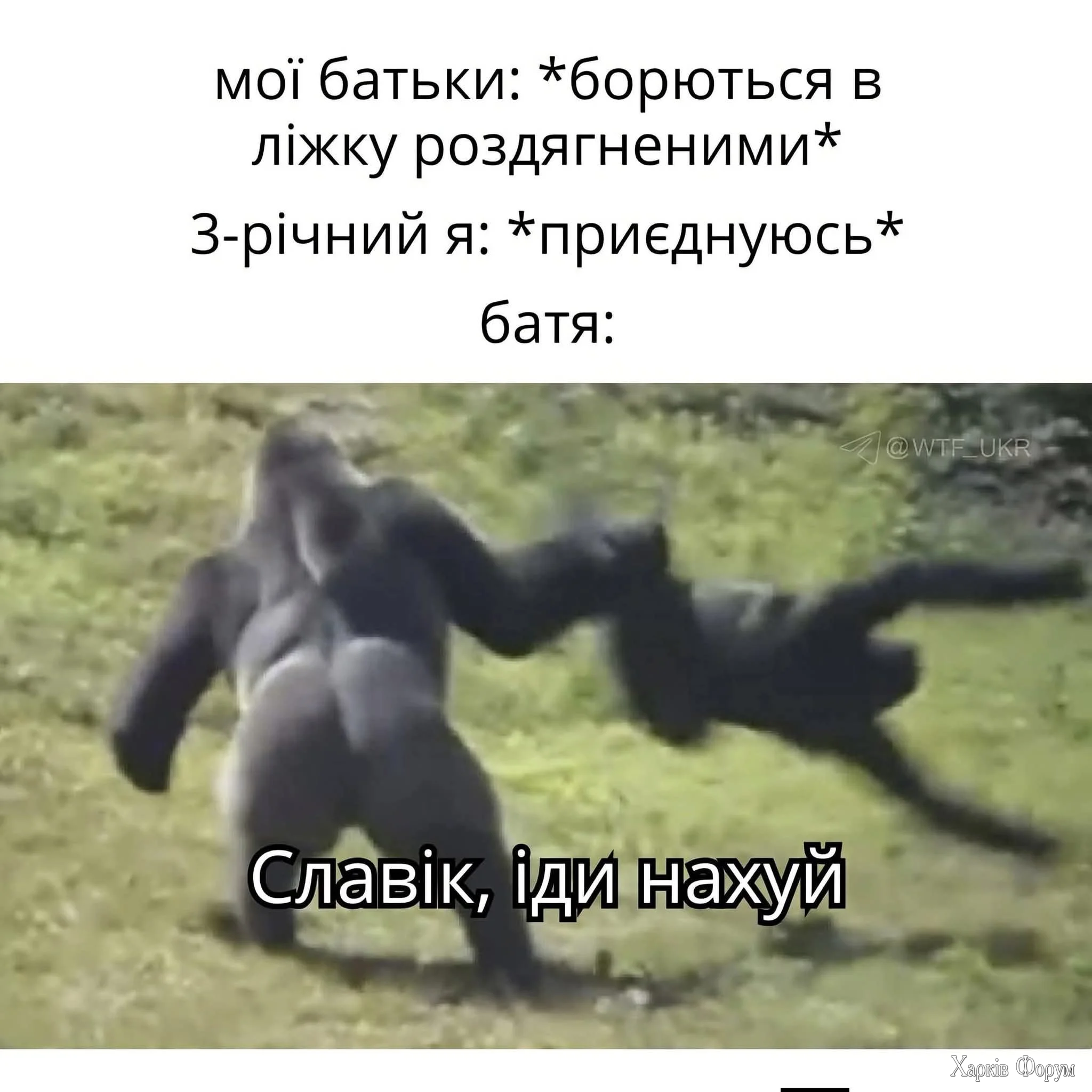 1000074326.webp