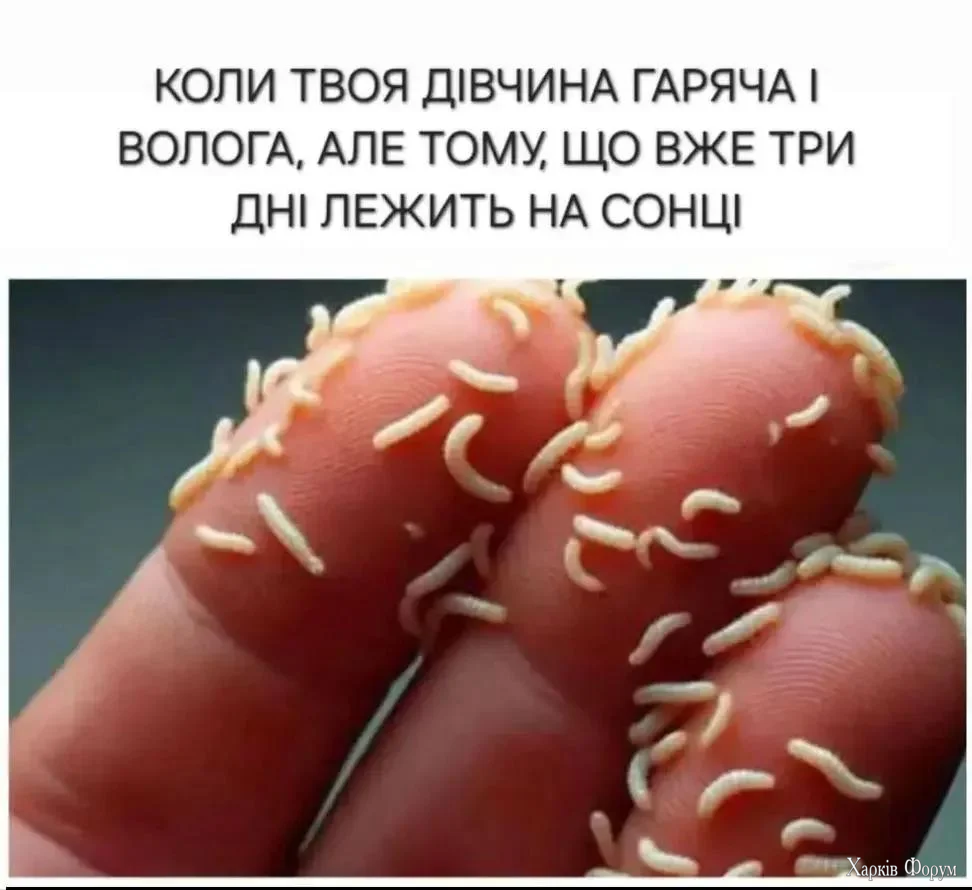 1000074614.webp
