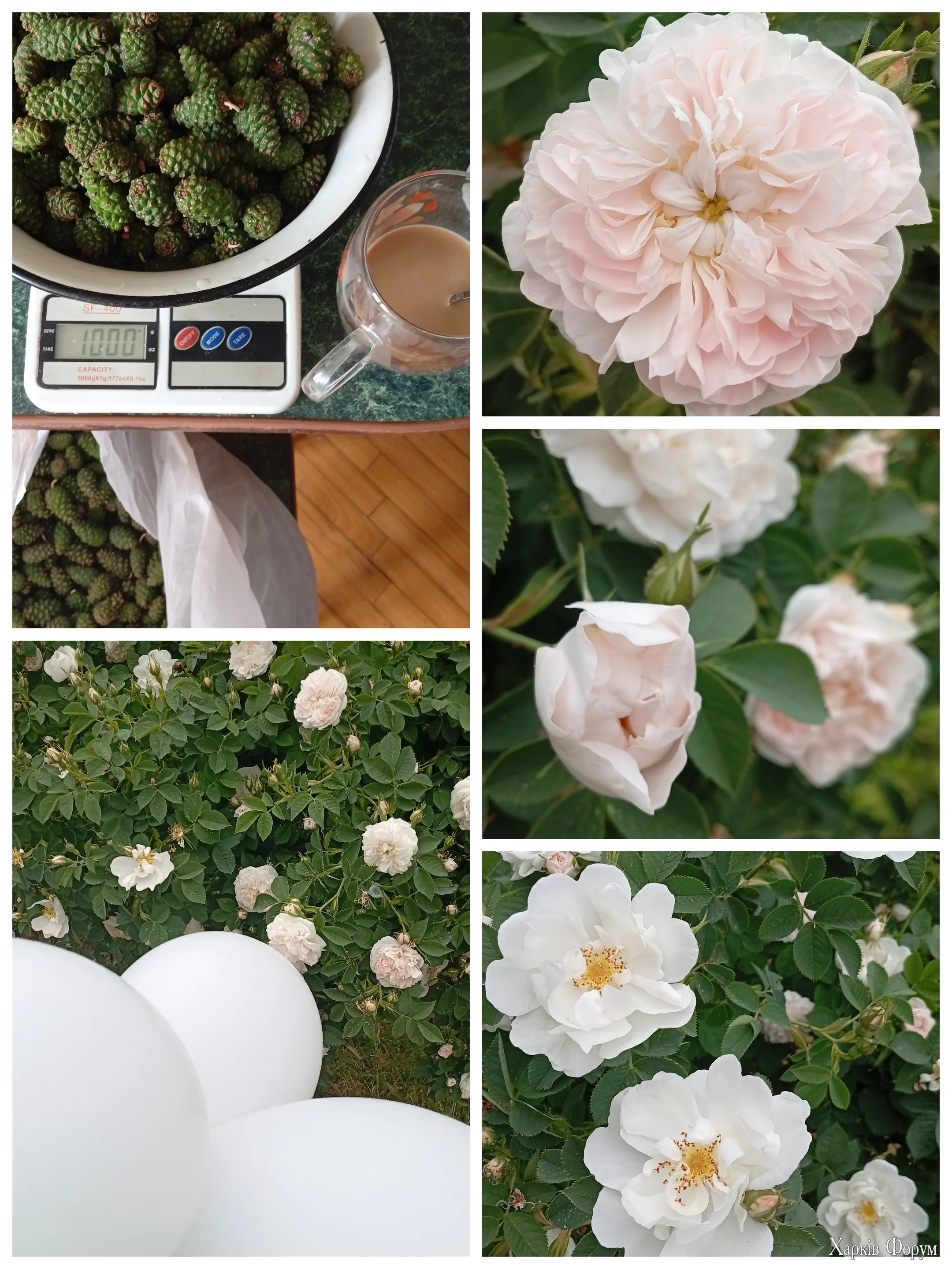 1000101404.webp