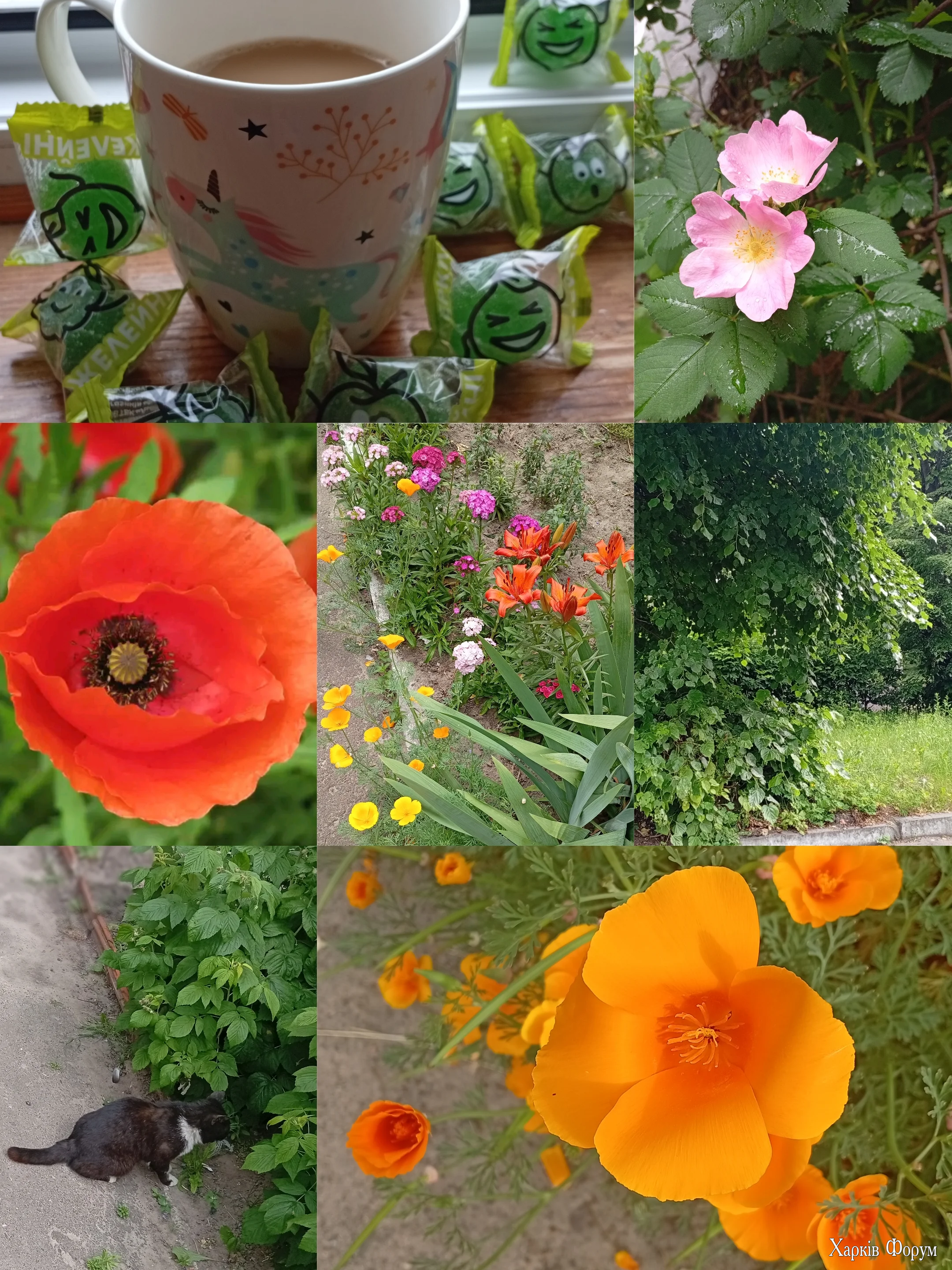 1000102366.webp