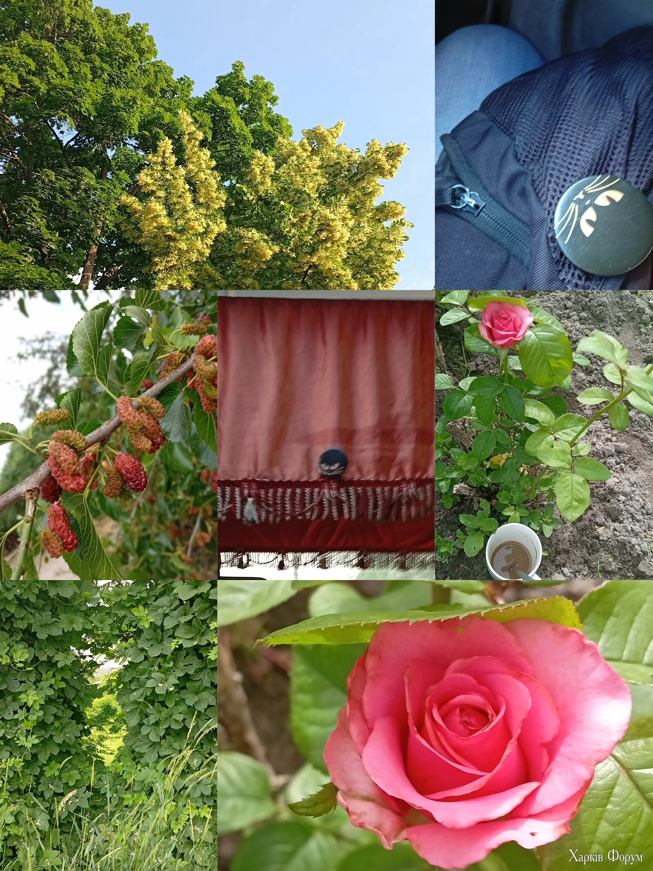 1000103731.webp
