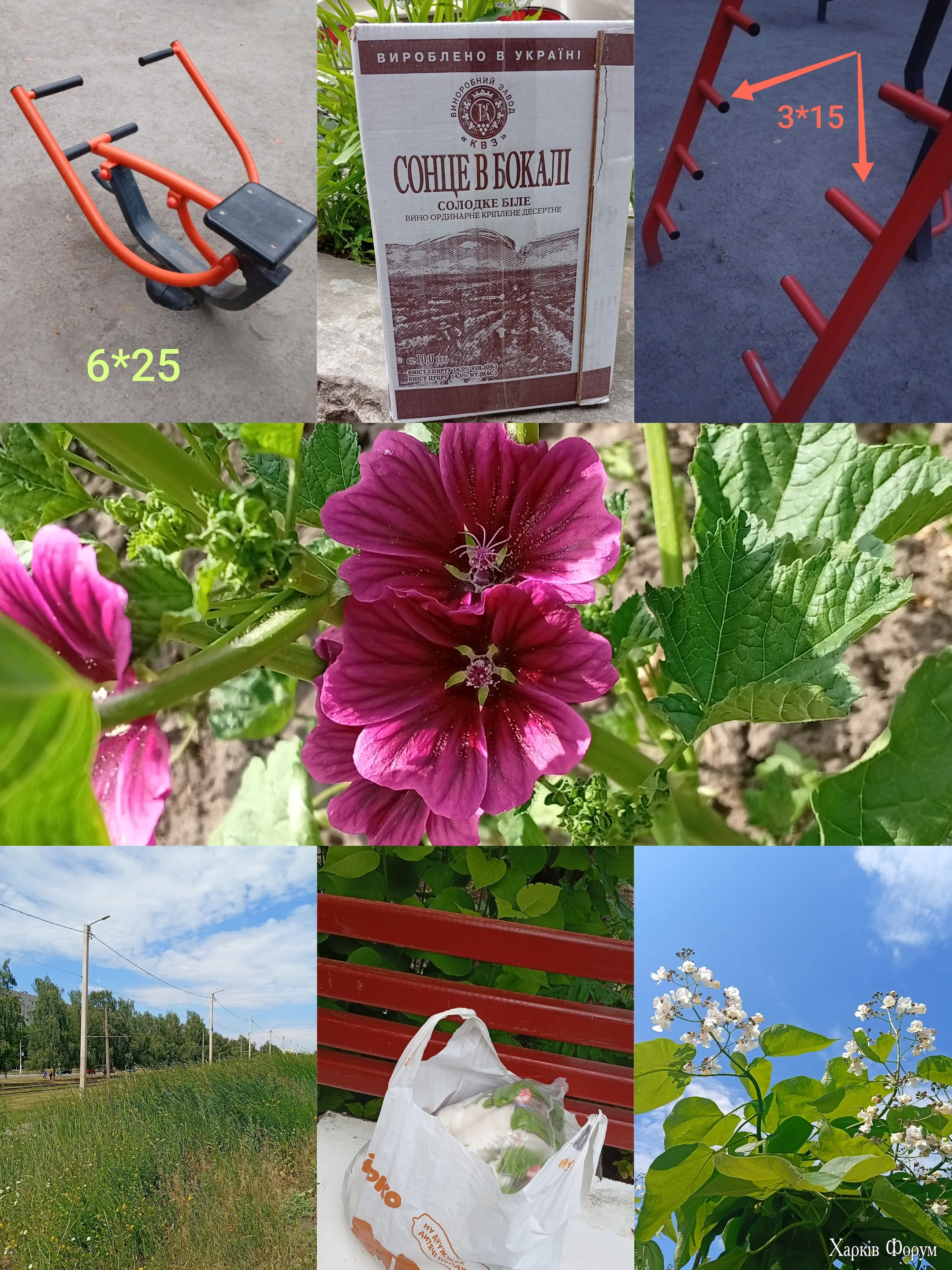 1000103812.webp