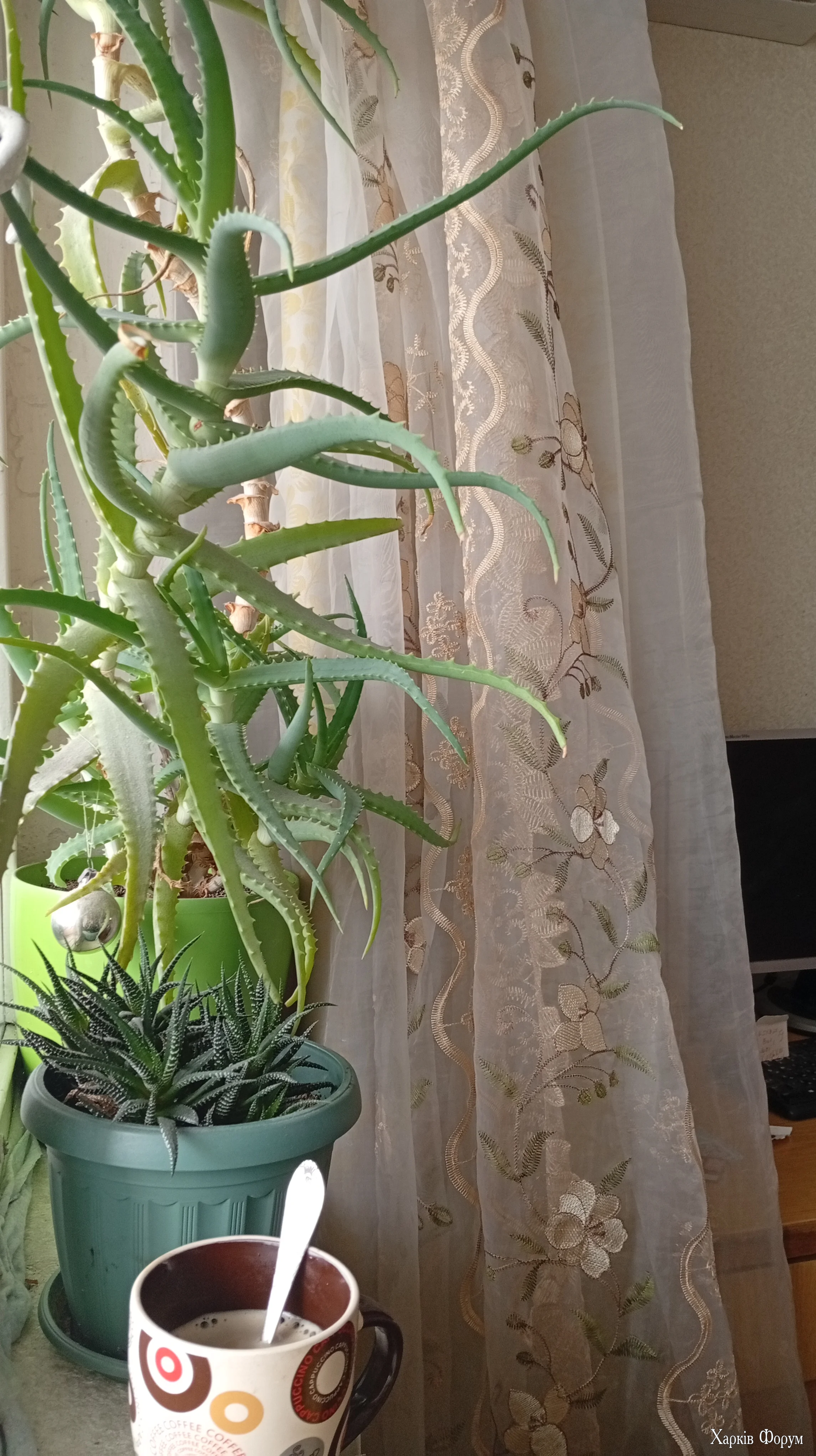 1000104473.webp