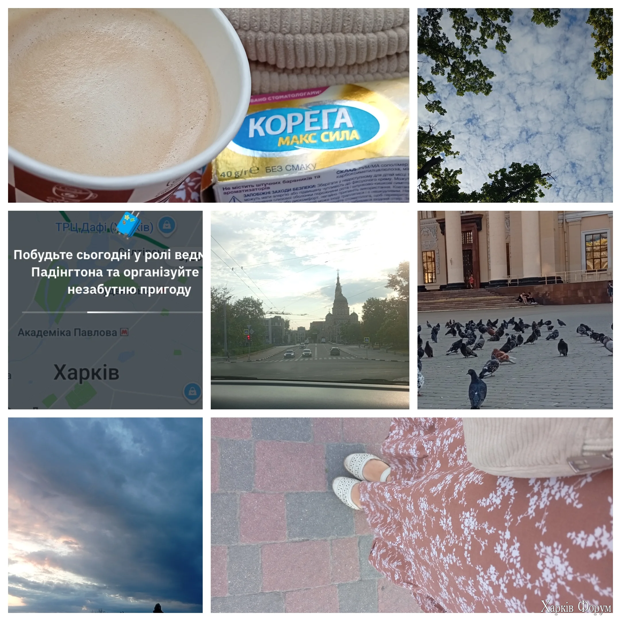 1000106431.webp