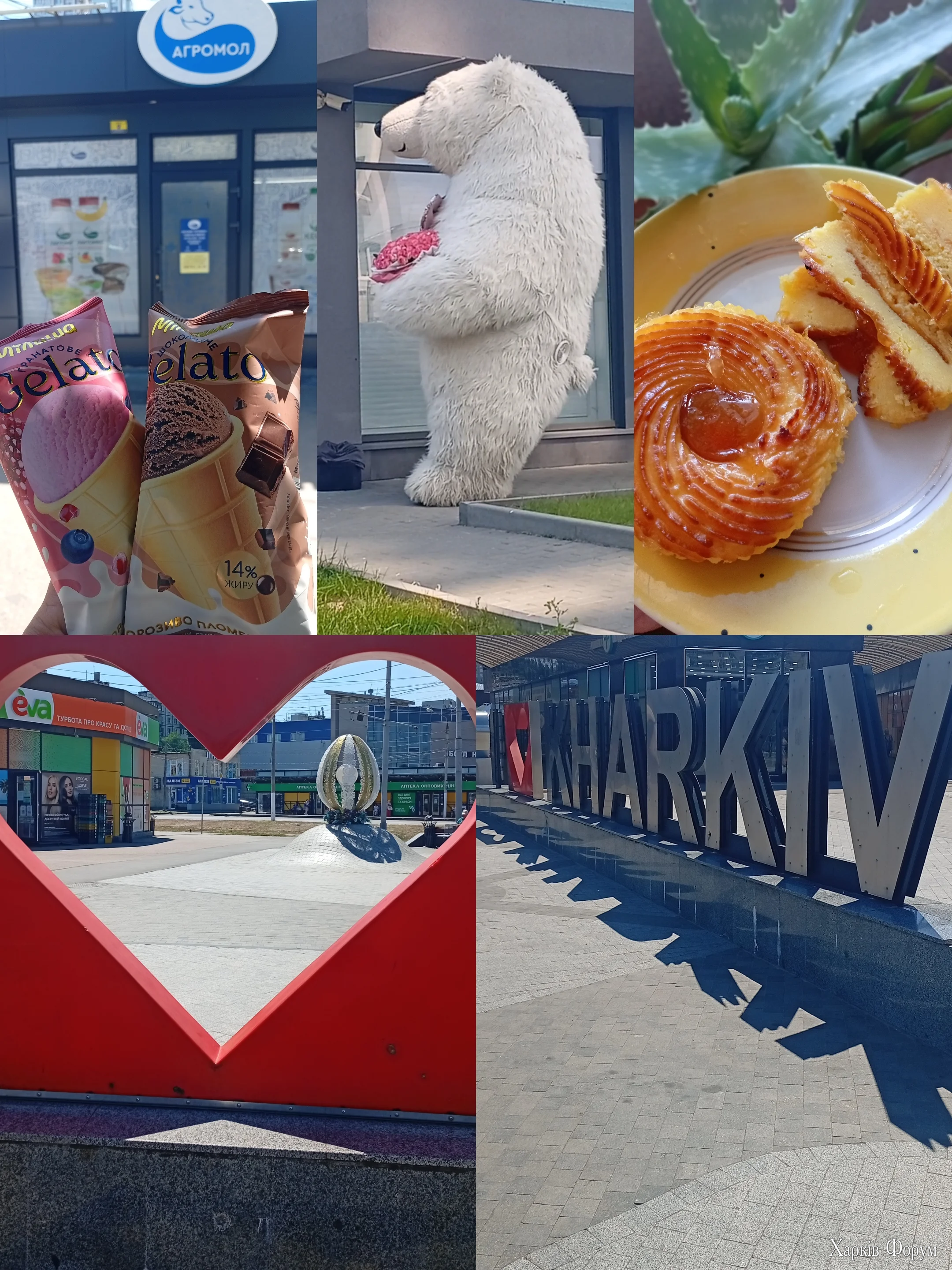 1000106614.webp