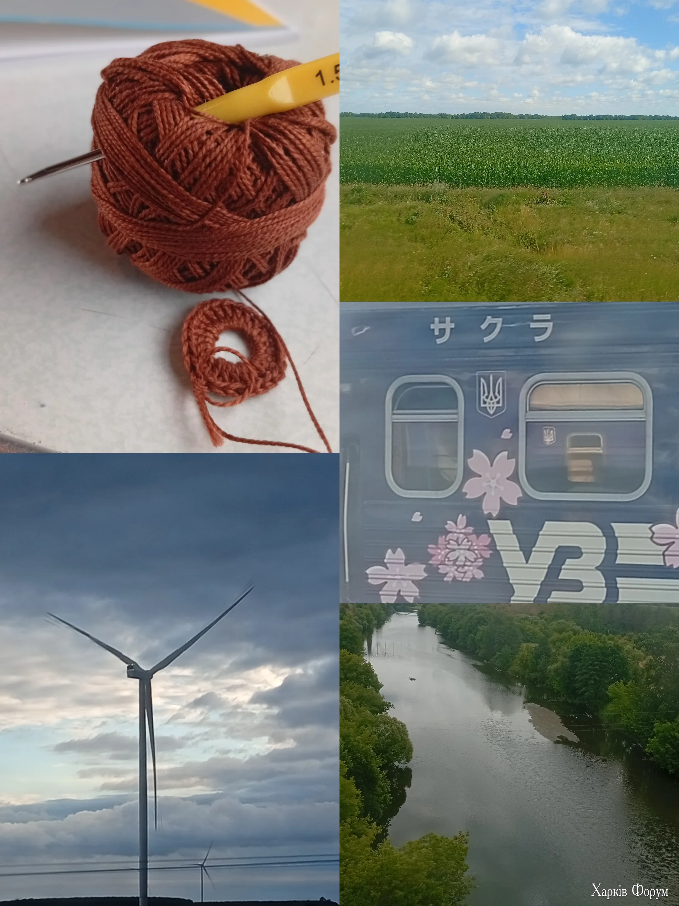 1000108034.webp