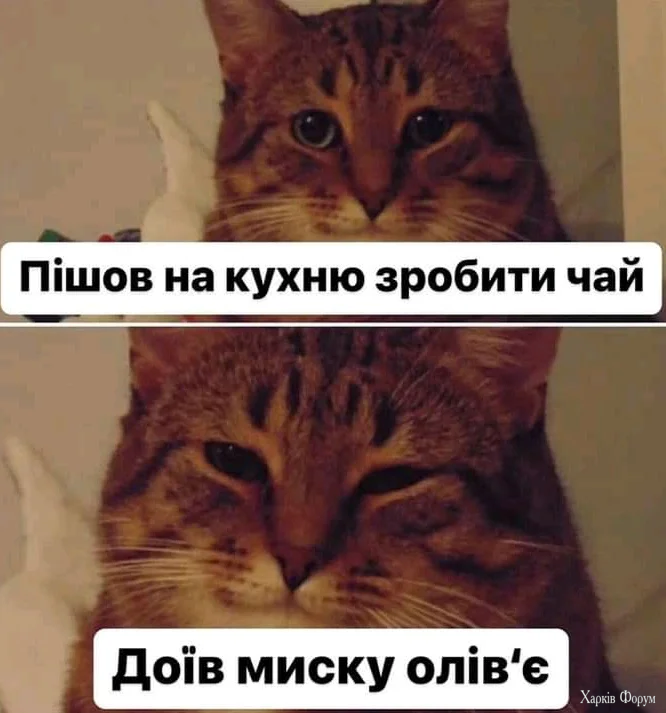 1000108389.webp