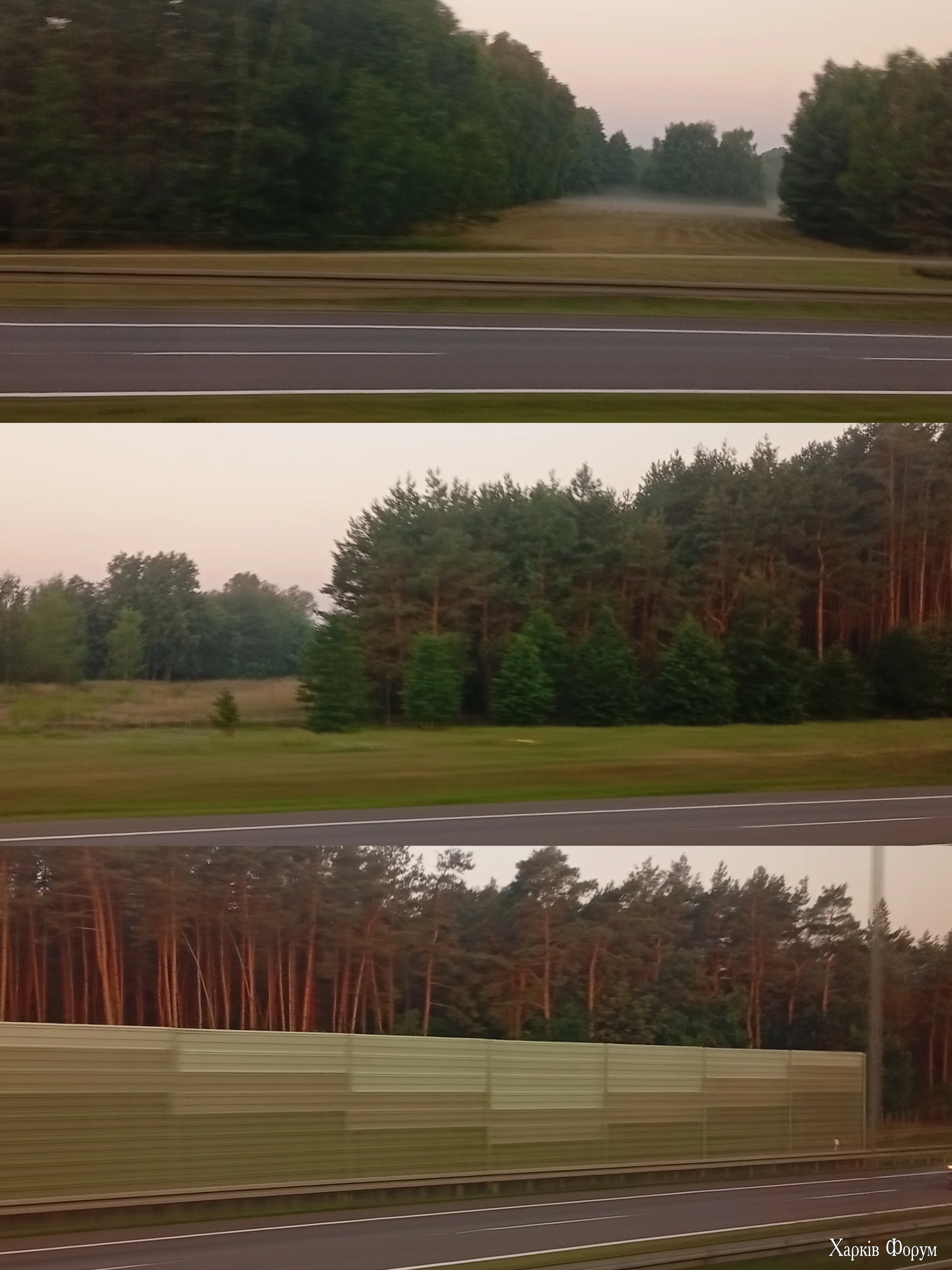 1000108907.webp