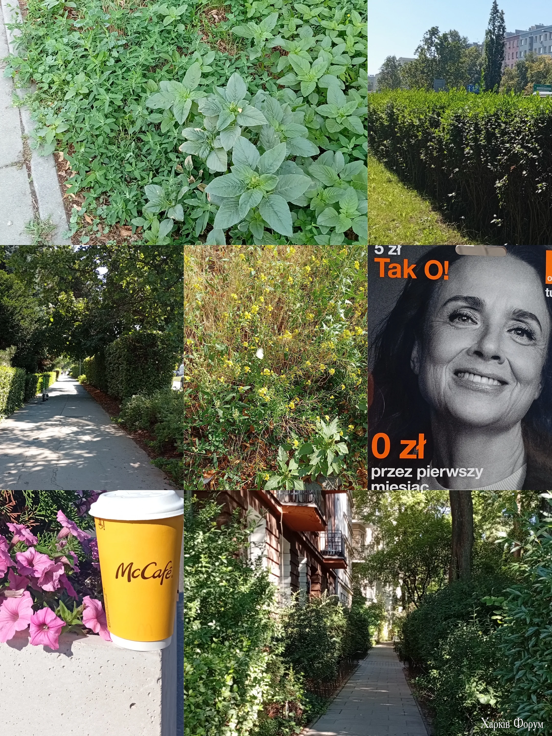 1000108989.webp