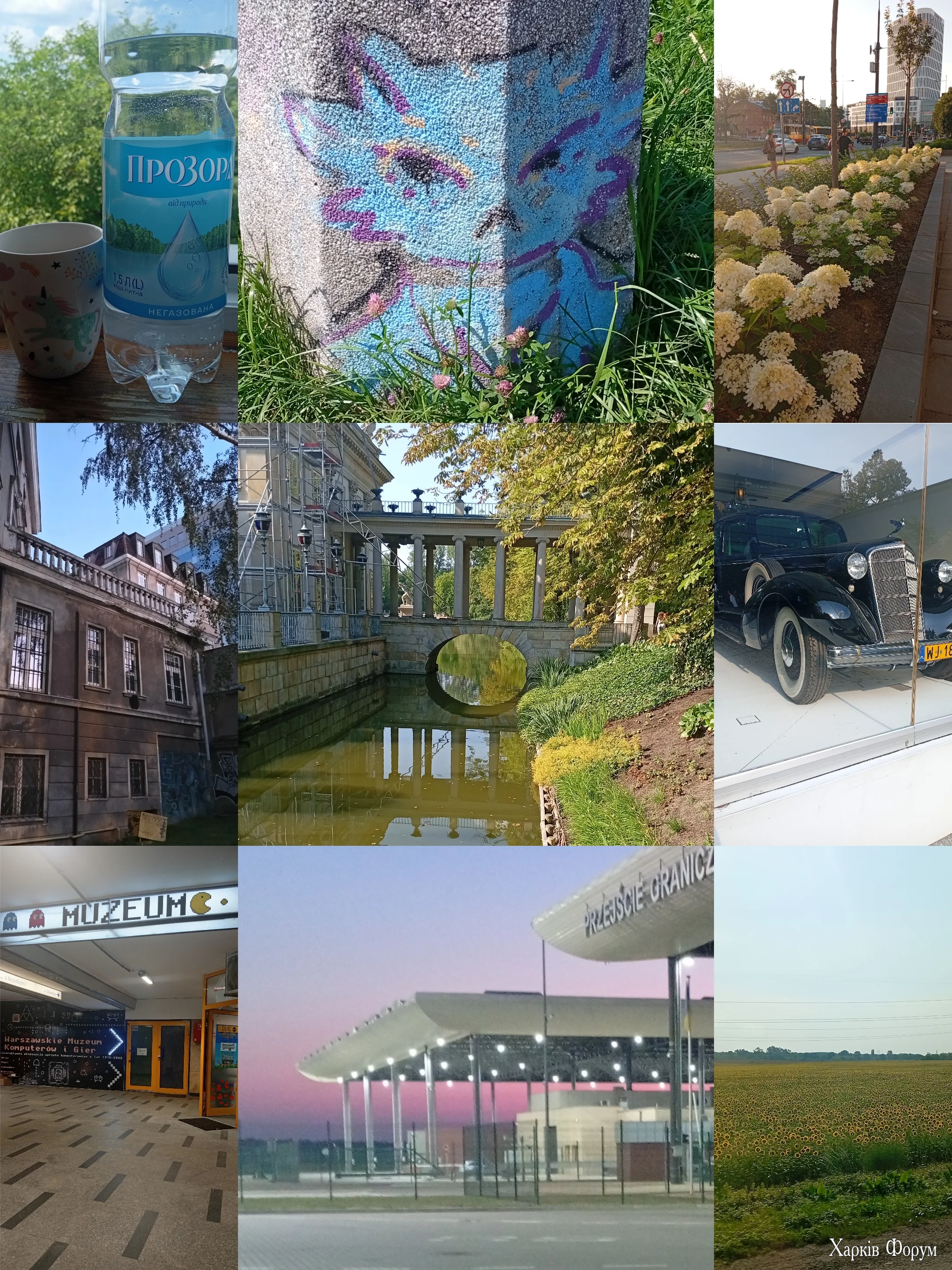 1000109790.webp
