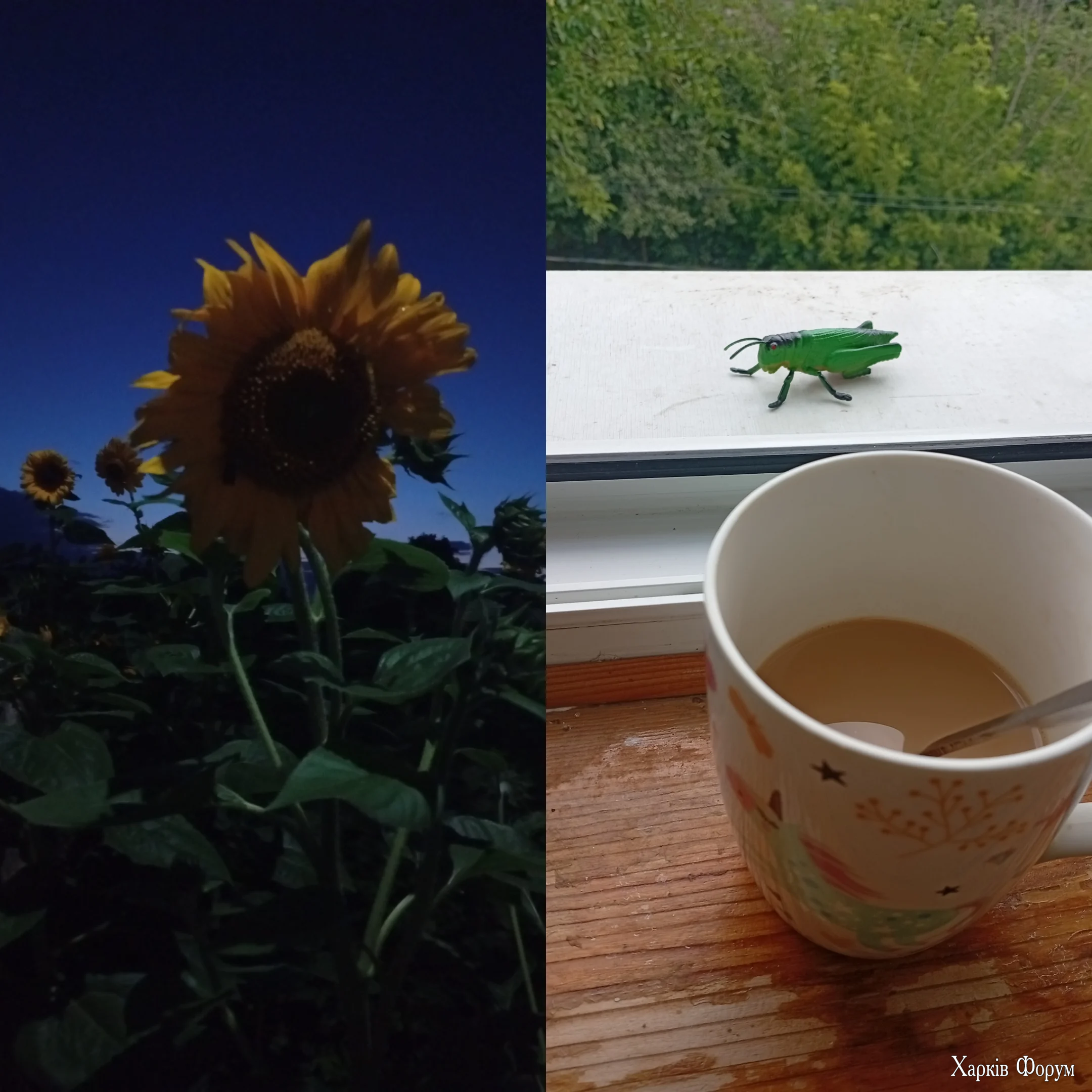 1000110792.webp