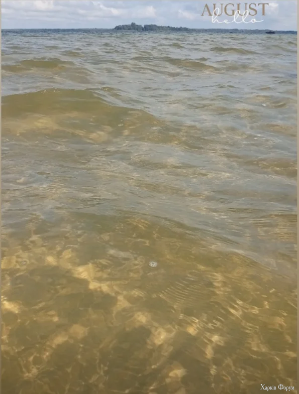 1000112202.webp