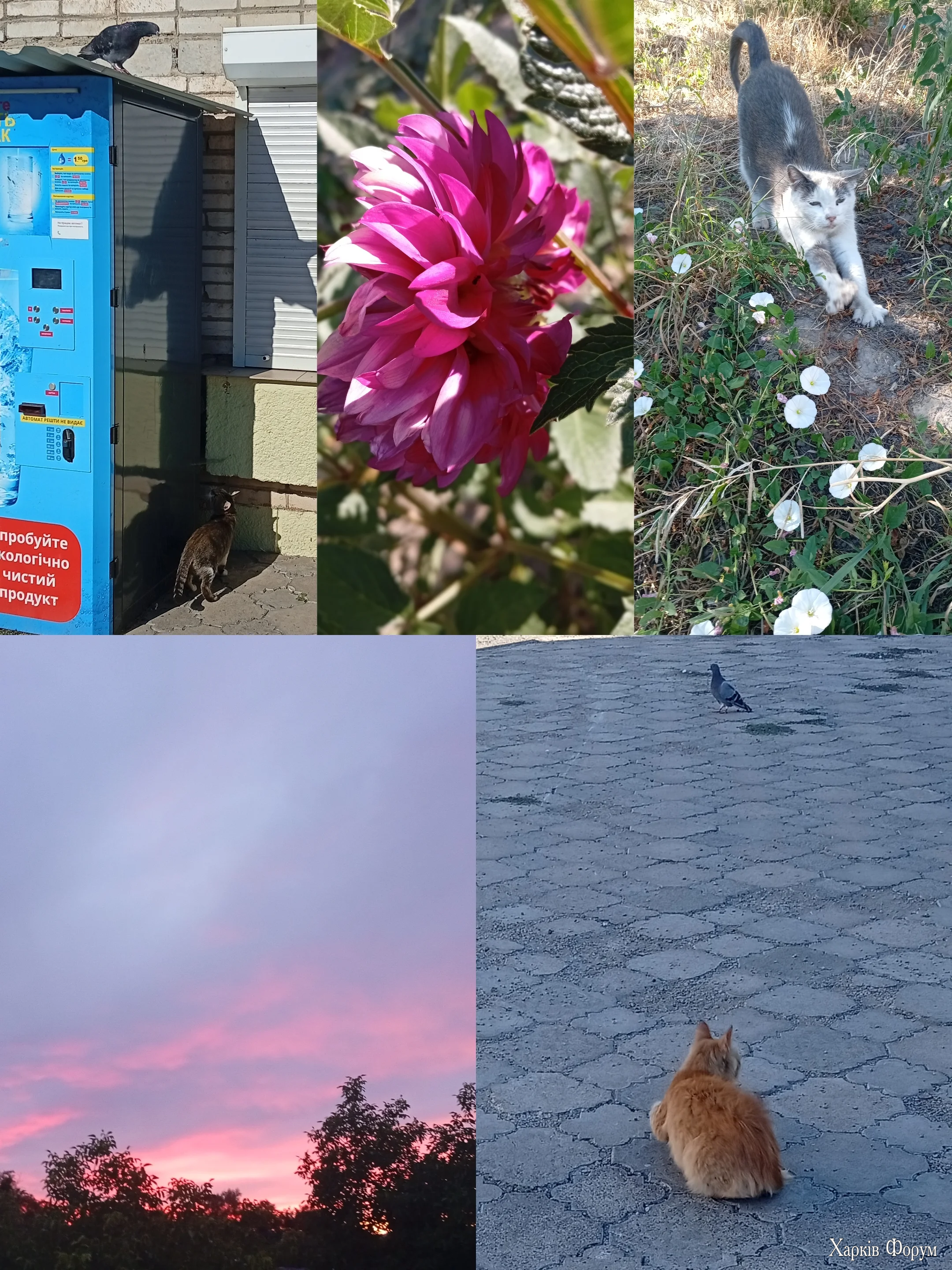 1000113959.webp
