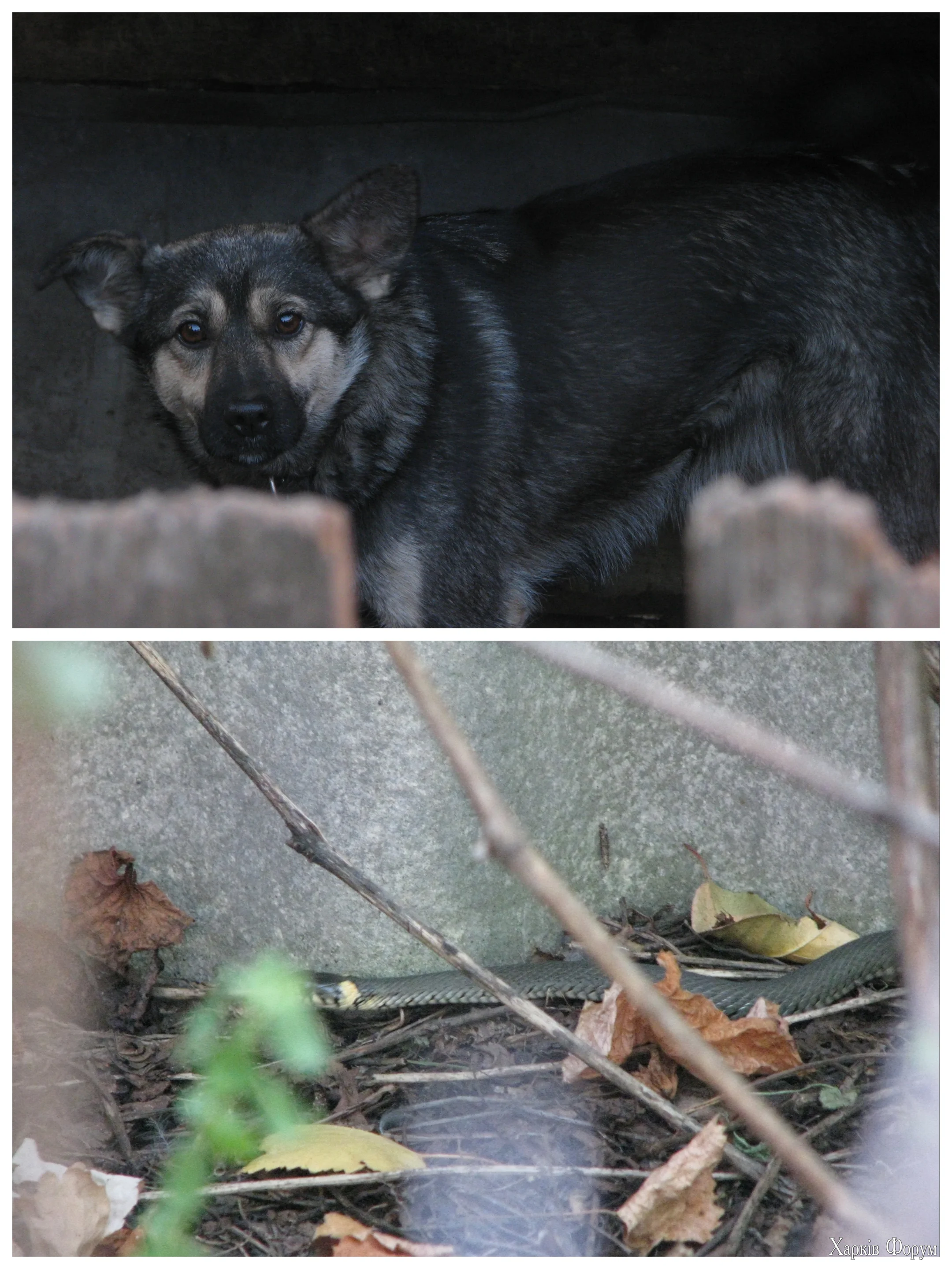 1000114090.webp