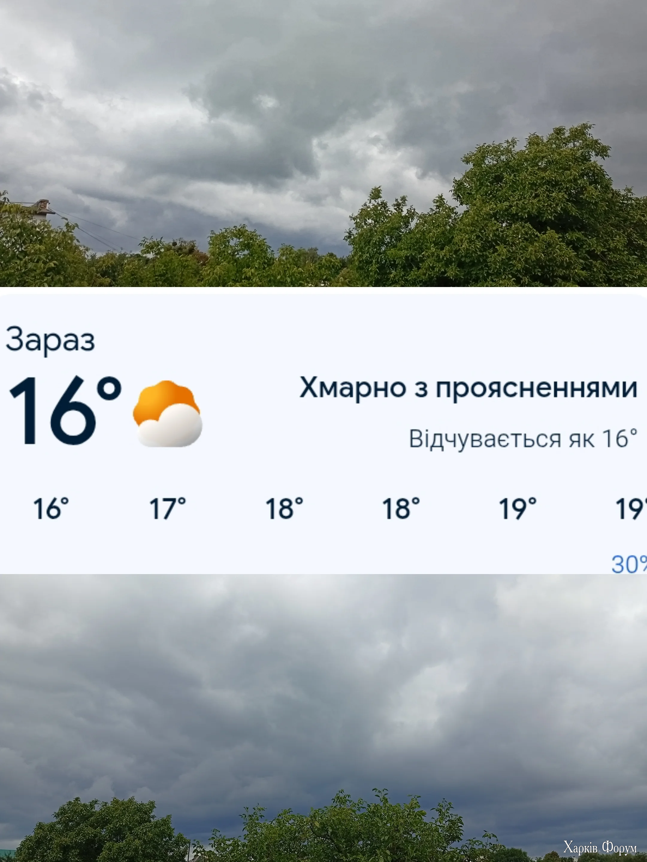 1000114404.webp