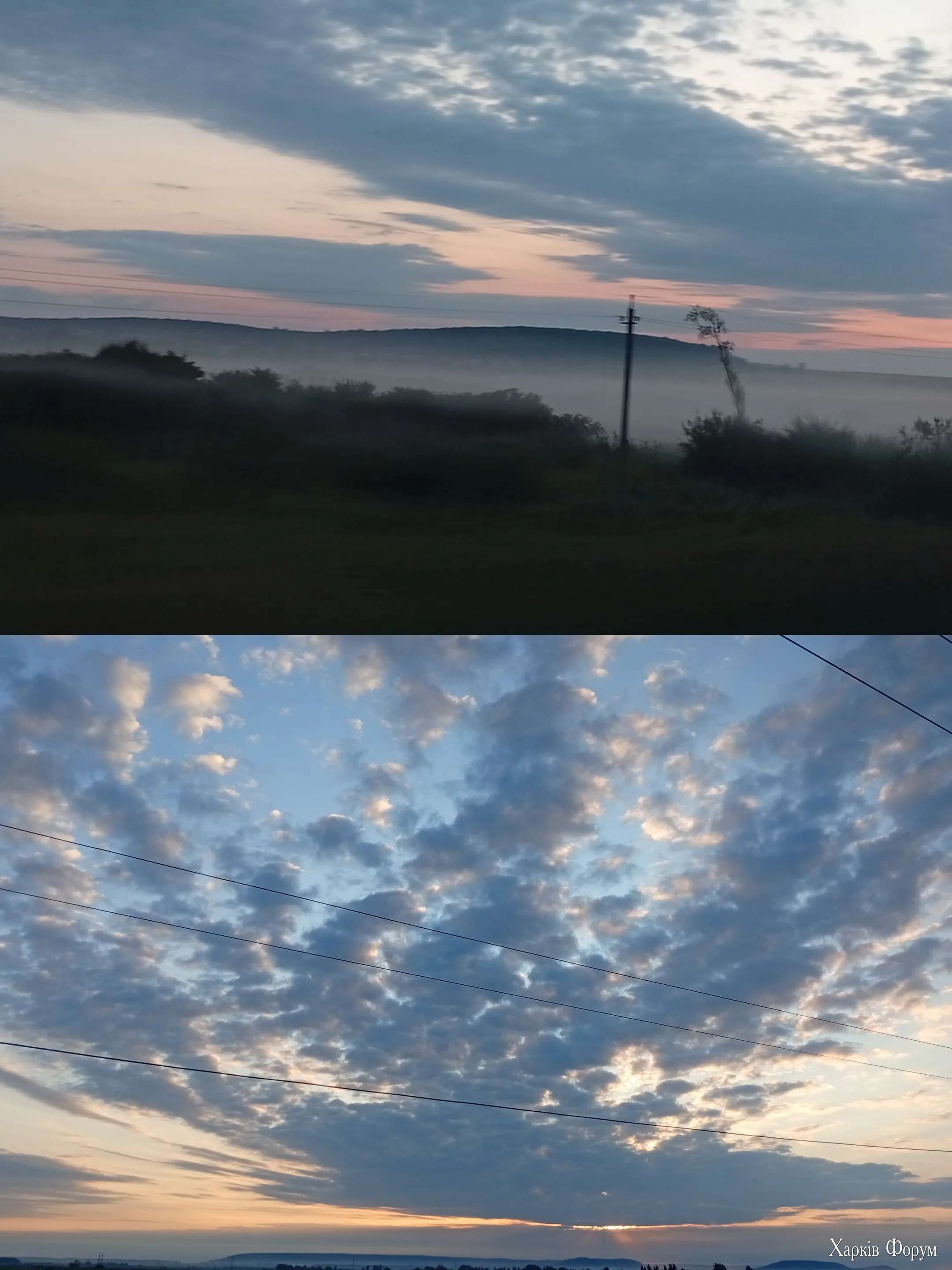 1000114586.webp