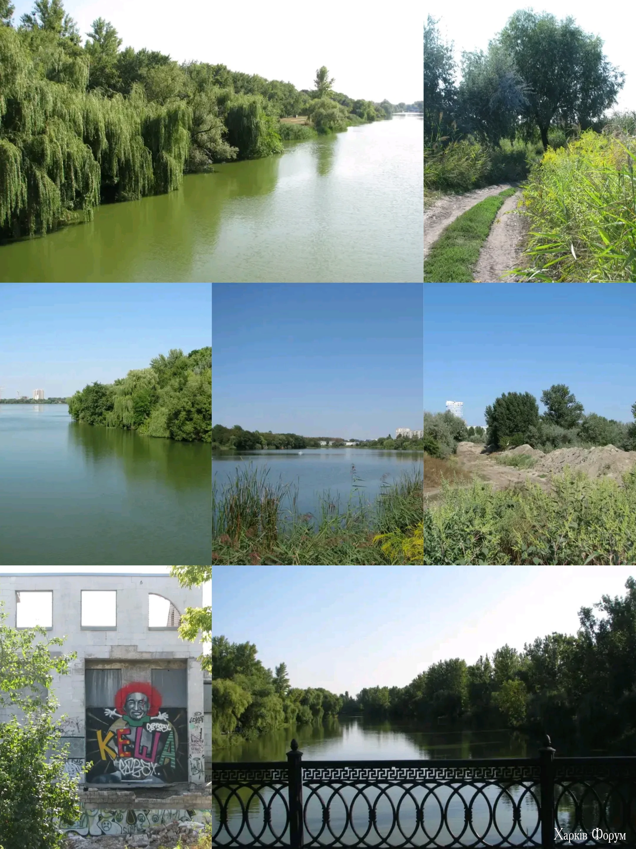 1000114673.webp
