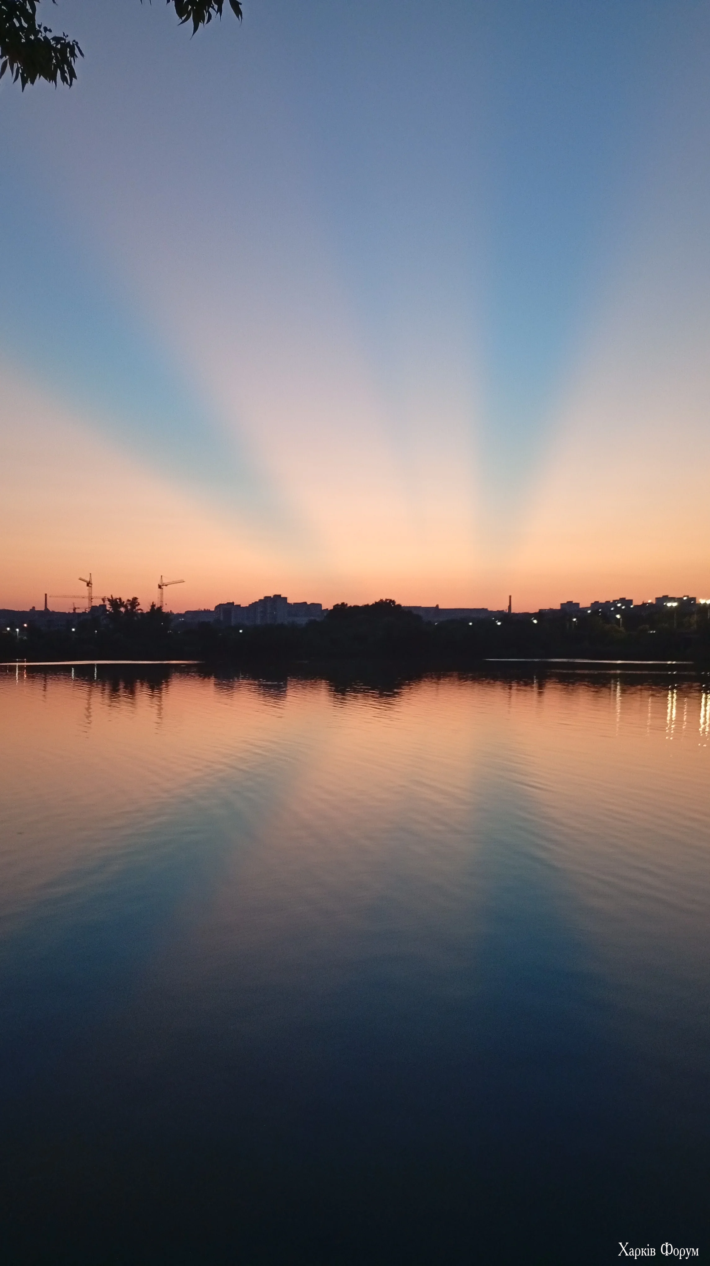 1000115314.webp