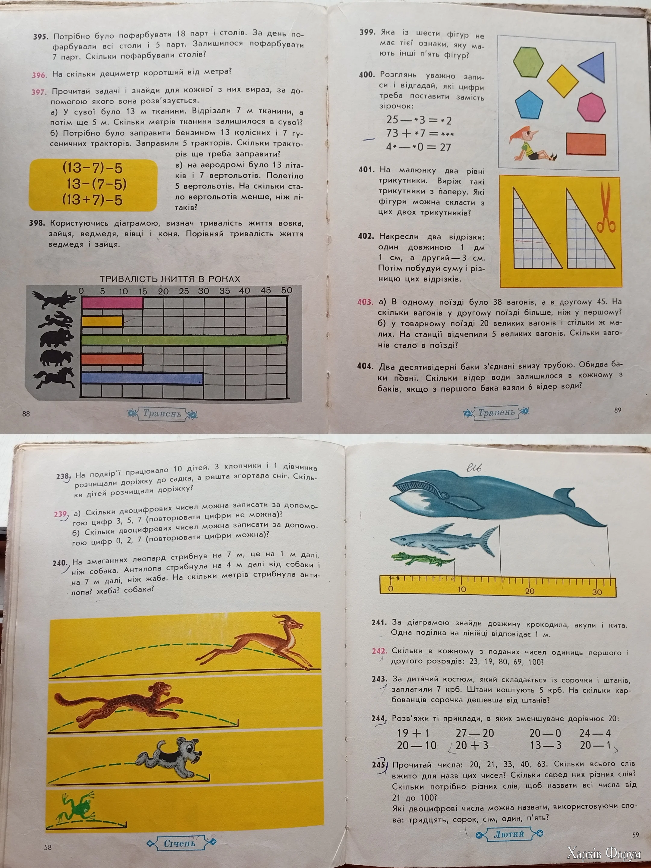 1000119518.webp