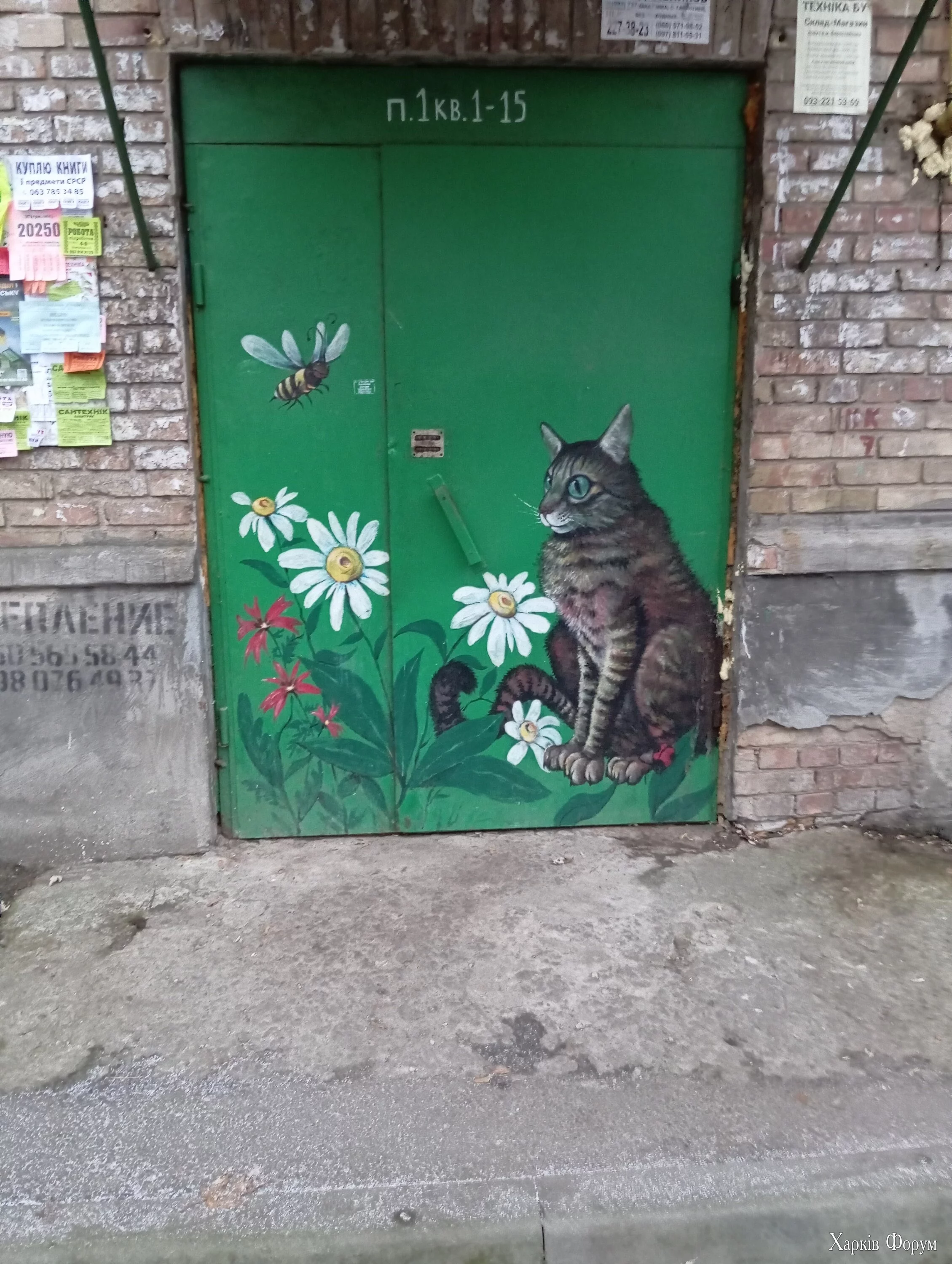 1000234065.webp