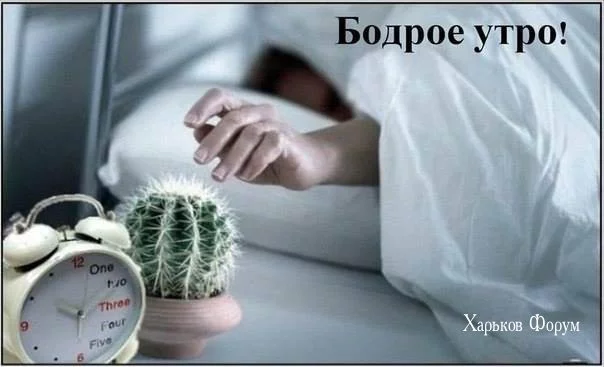 1000fb594783ca31e4.webp