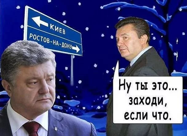 1003579352.webp