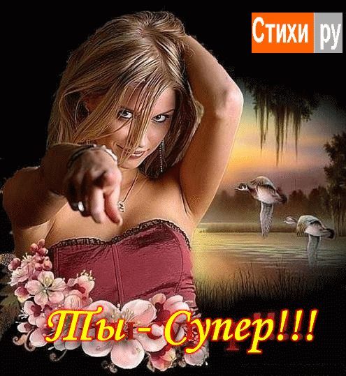 10036.gif