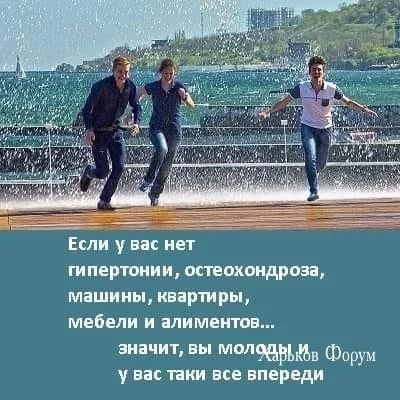 1005768d6a8bd483bd1.webp