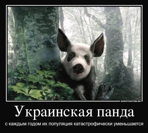 1007_original.webp