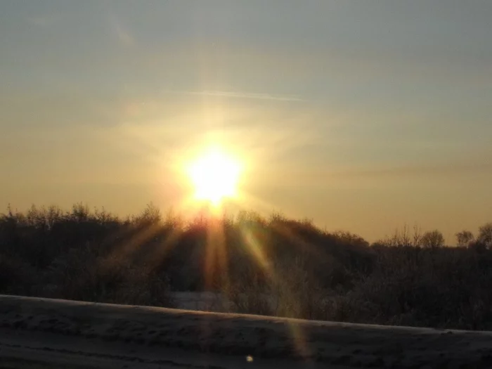 101493515_large_4638534_20100126_006.webp