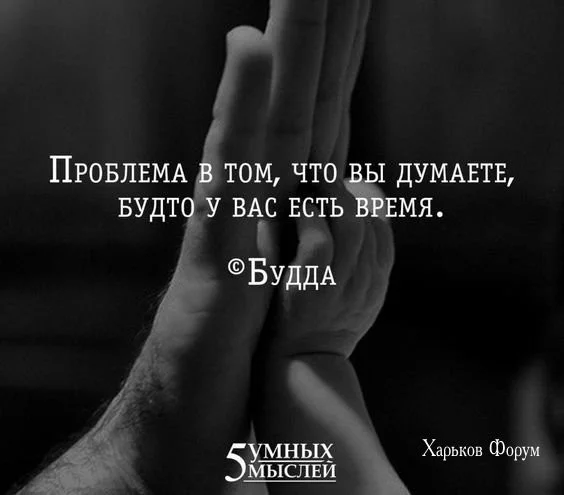 1016173ff2b79ccf8f1bc8.webp